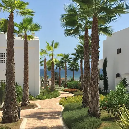 Uva * San Juan De Los Terreros