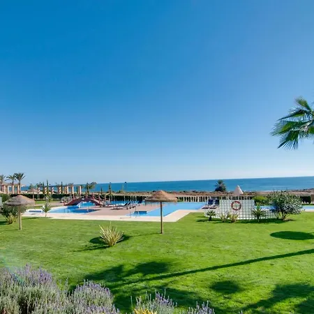 Uva San Juan De Los Terreros